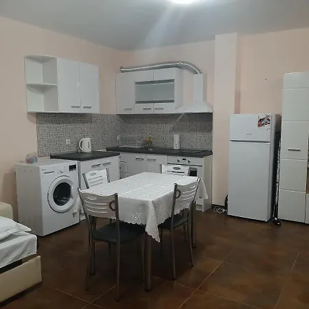 и мони холидейс تساريفو