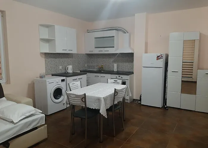 и мони холидейс 茨雷沃