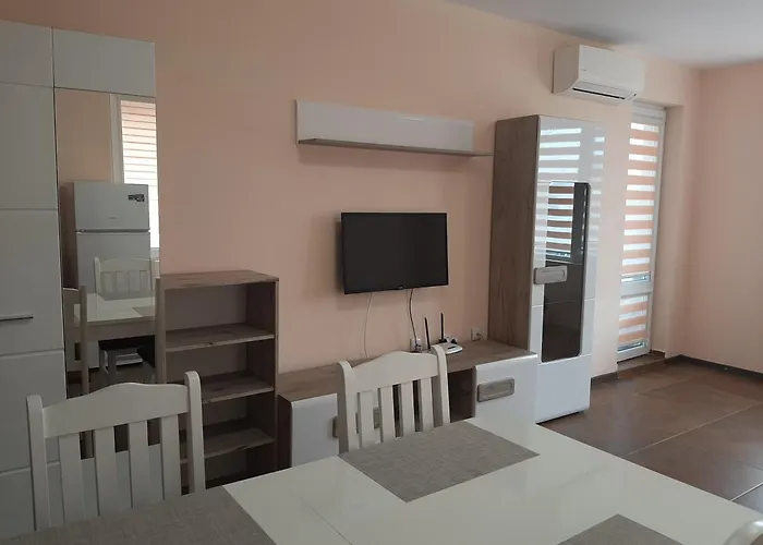 и мони холидейс *