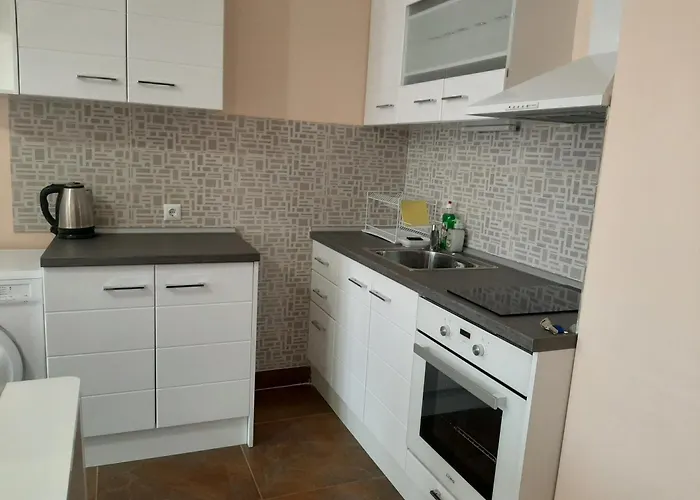 и мони холидейс 茨雷沃