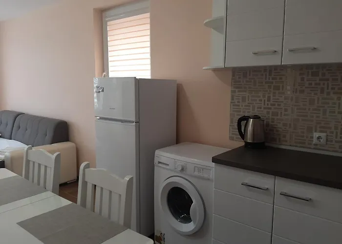 и мони холидейс * 茨雷沃