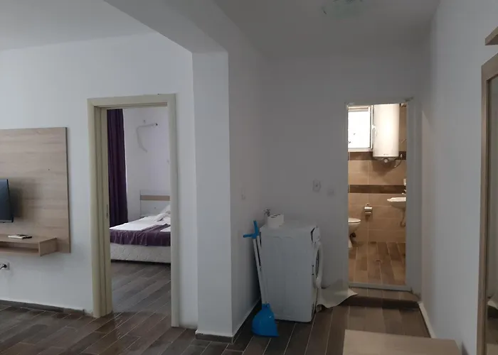 и мони холидейс 茨雷沃