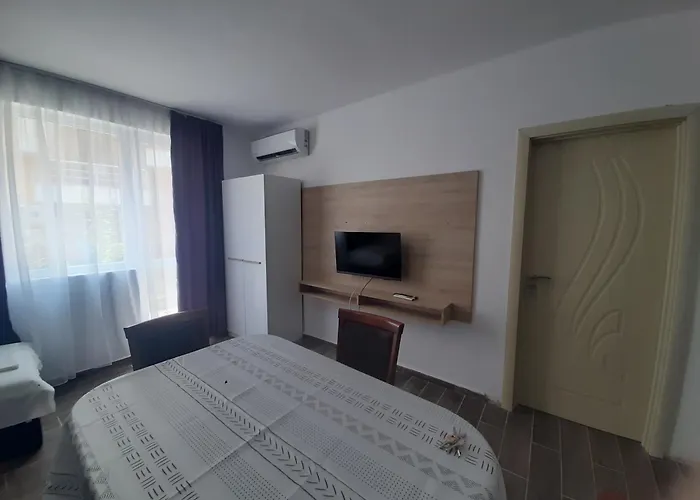 и мони холидейс * 茨雷沃