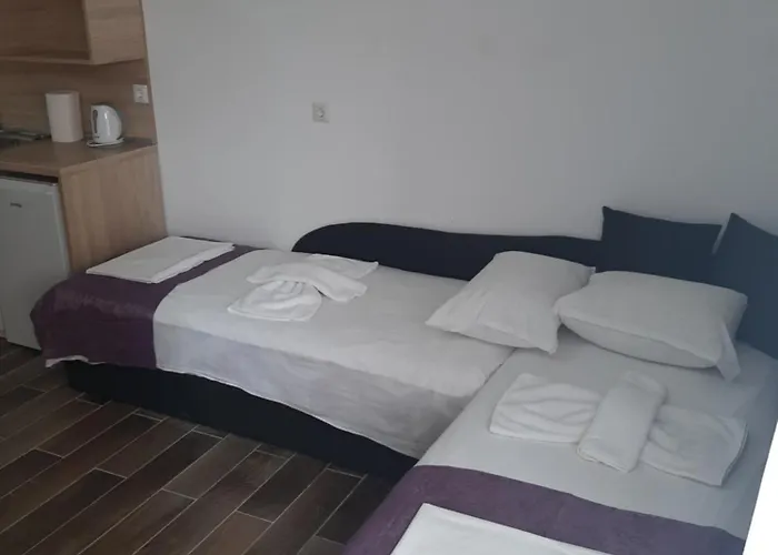 и мони холидейс 公寓 茨雷沃