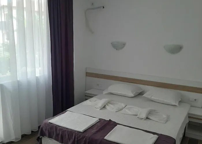 и мони холидейс *