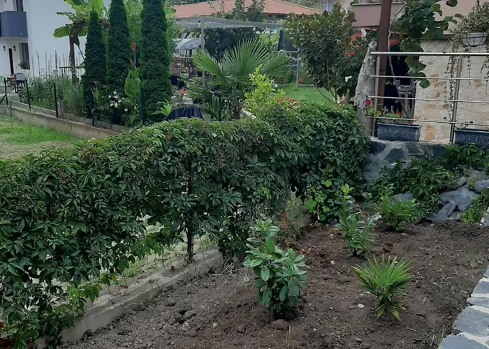 и мони холидейс 公寓 *